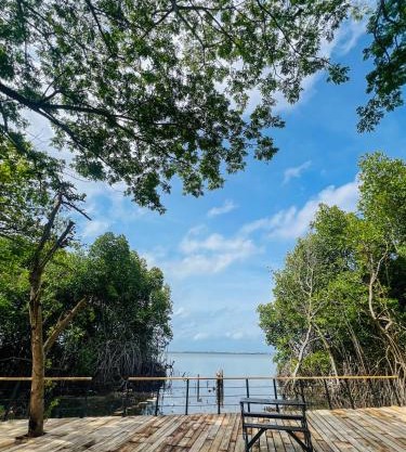 Blue Mangrove lagoon by serenity