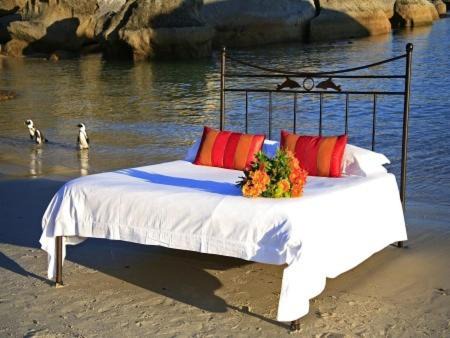 Boulders Beach Hotel, Cafe and Curio shop