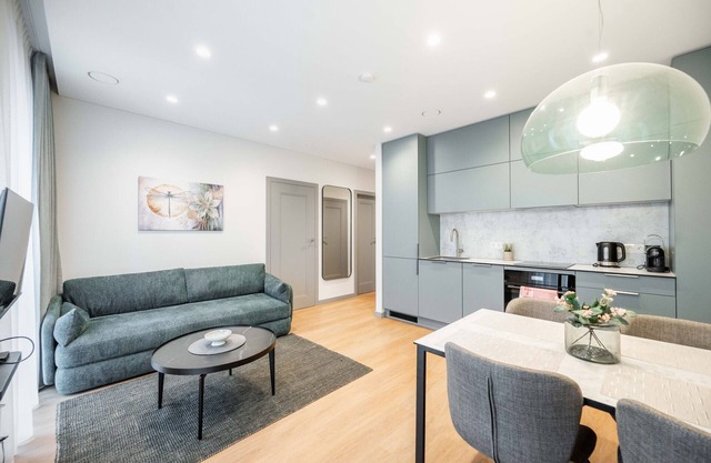 Brand New Downtown Apartment 10