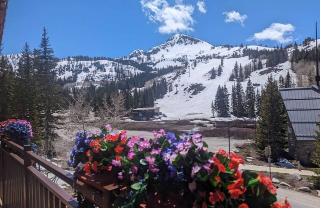 Brighton Chalet | Big Cottonwood 2 Bedroom