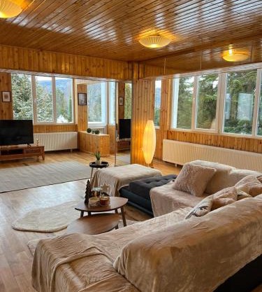 BSG Villa - Sinaia