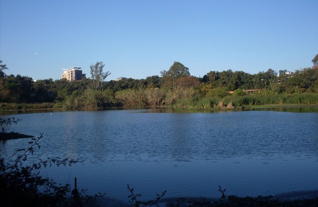 Bungalow Dowtown in a Park With Lake, Birdwatch