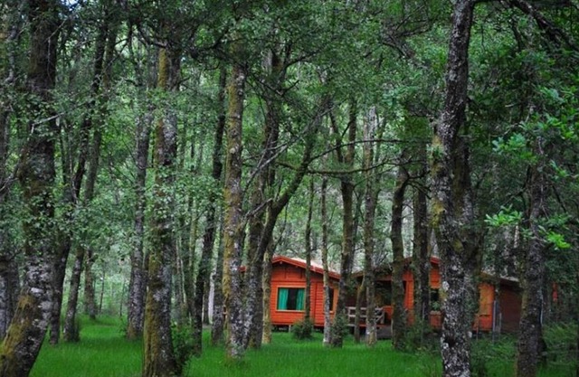 Bungalows de Peneda 3 - Parque Nacional Peneda-Gerês