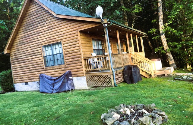 Cabin Fever!