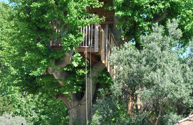 Cabaña en el plátano, piscina, trampolín