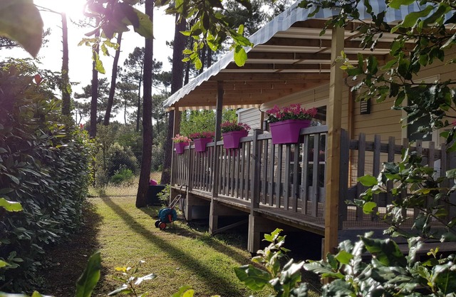 Camping Bonne anse plage 4 * MH nuevo lodge climatizado