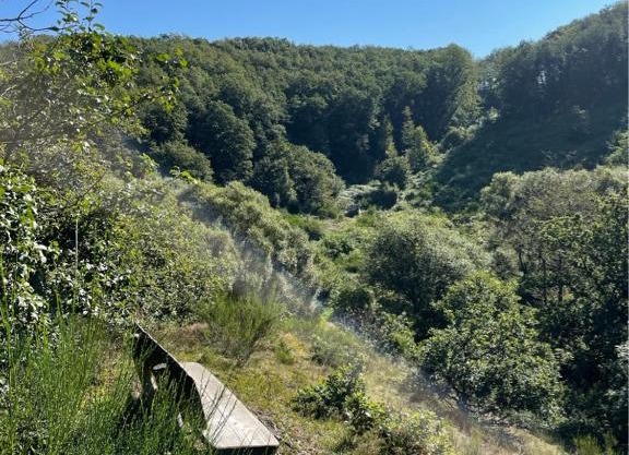 Camping Drei Spatzen