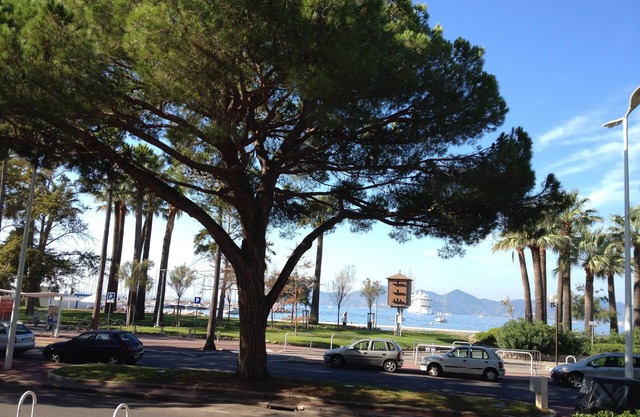 Cannes, apartamento con gran terraza y jardín, directamente en Croisette