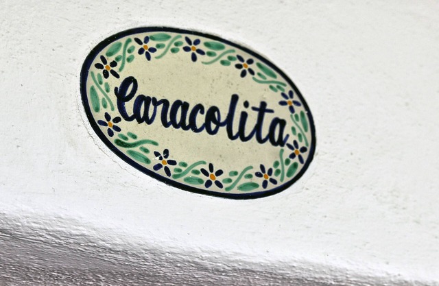 Caracolita - Alojamiento de lujo en Caracol Estates