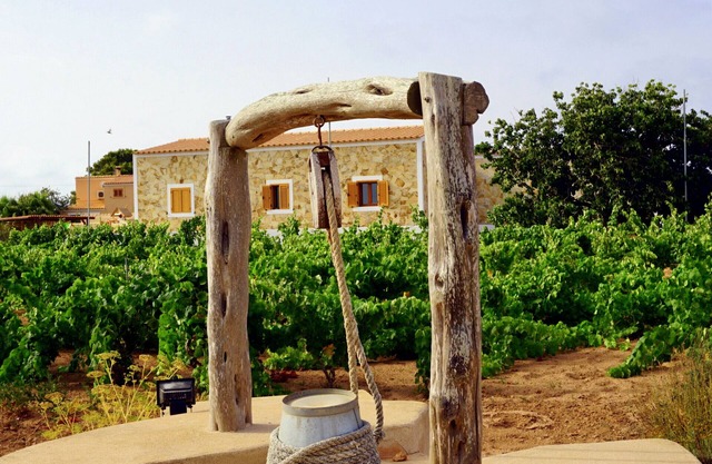 Casa Can Pep, Formentera - Bungalow de 1 dormitorio