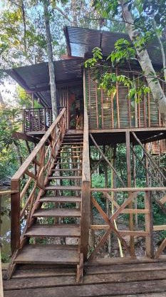 Casa del arbol Balcón del Tacana