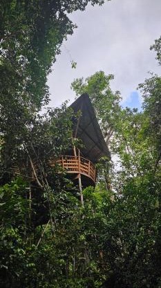 Casa en el Árbol - El Arca