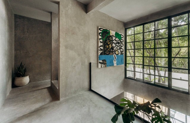Jungle Views in style