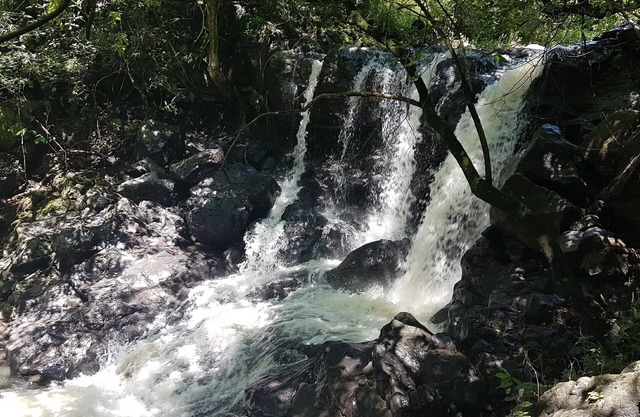 Casa para hasta 11 personas con amplio jardin en Tepoztlán