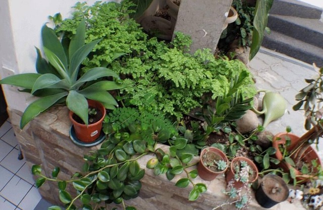 Casa San Juan- Apt deluxe muy acogedor, centrico!