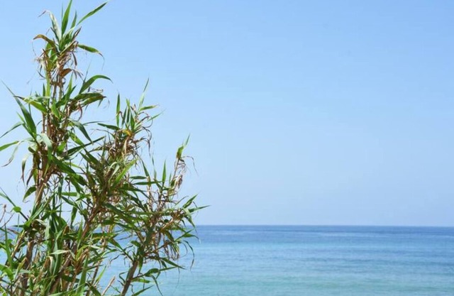 ♡Casara 1♡ Hermosa Casa Loft♡ Playa de Zahora♡
