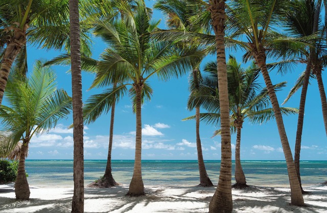 Catalonia Royal Bavaro - Adults Only