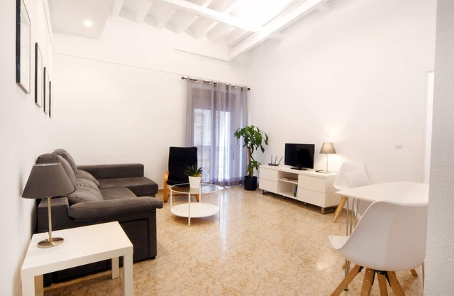 Céntrico apartamento 3 dormitorios