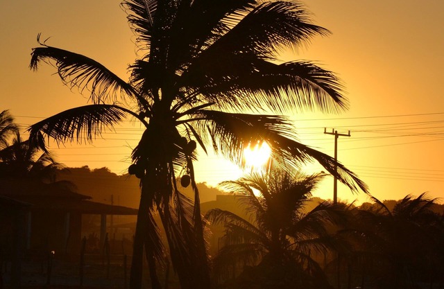 Chale en la playa Nordeste (costa Sergipe: playa Saco, Mangue Seco)