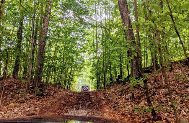 Chalet Hakuna Matata Enchanted Cottage