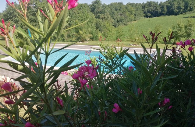 Vrbo Property
