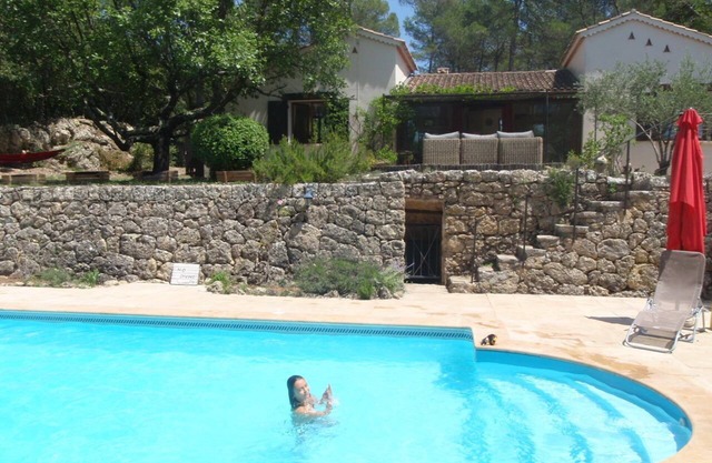 Comodidad y serenidad en nuestra villa provenzal: piscina privada en el bosque