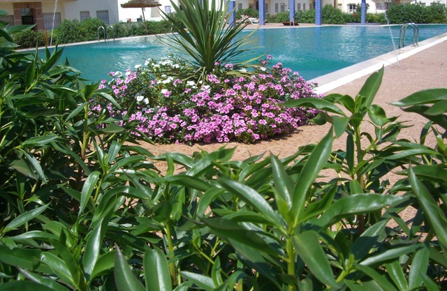 Encantador apartamento cerca de la playa con tres piscinas y jardines