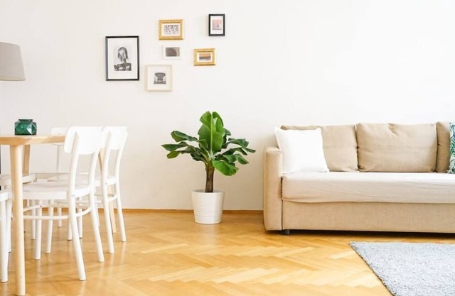 Charming Apartment in city center