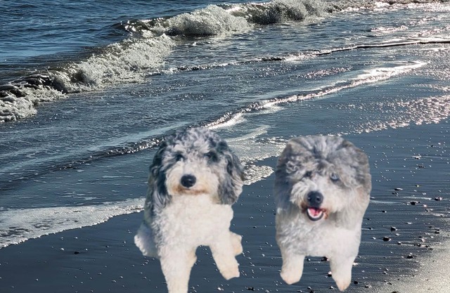 Pet Friendly, Clean & Cozy 2 bdrm, 2.5 bath, townhome, 2 blocks to the beach.