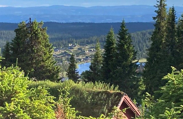 Alojamiento de 3 habitaciones en Lillehammer