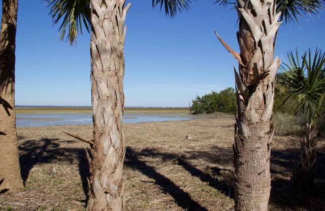 Charming House on Private Goat Island ➺ Nature lovers. Accessible only by boat.