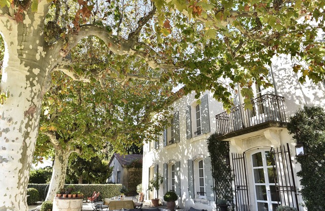 Charming Houses 1416