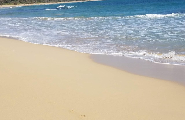 Nuevo y encantador frente al mar / frente a la playa / cabaña