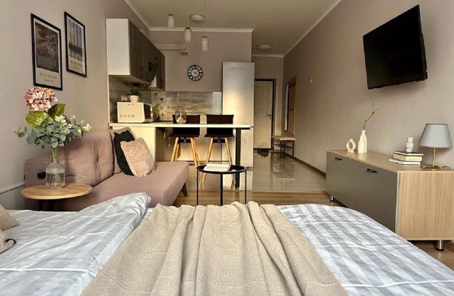 Charming studio Merenga in wonderful Almaty with WiFi, AC