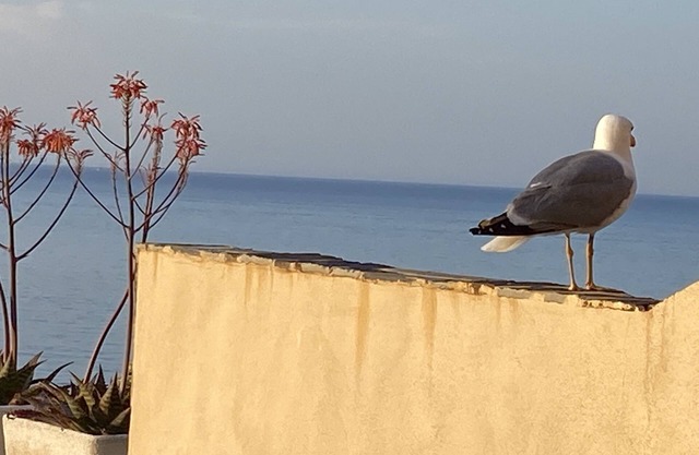 Encantadora villa, impresionantes vistas al mar.