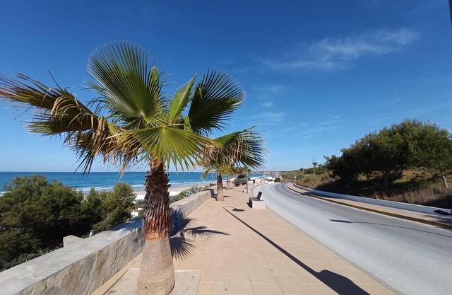 En el corazón de Conil, con aire acondicionado.