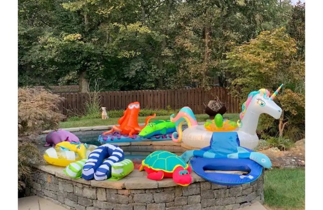Close,Private,Pool,Pets,Kids!!