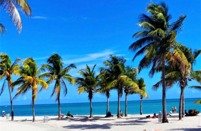 Close to the Beach spacious One Bedroom with Pool