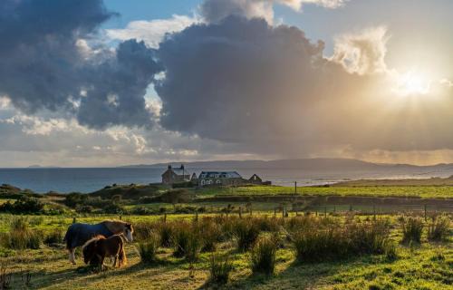 Cnocanreoch Farm Glamping