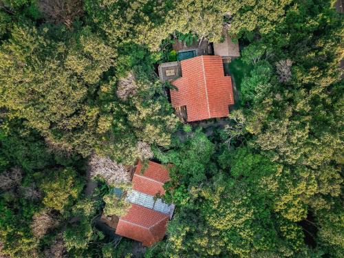 Cocar Vila Trancoso - Oásis de Mata Atlântica