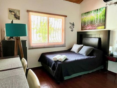 Colibri Récif - 2 min from beach - Pool & Calm