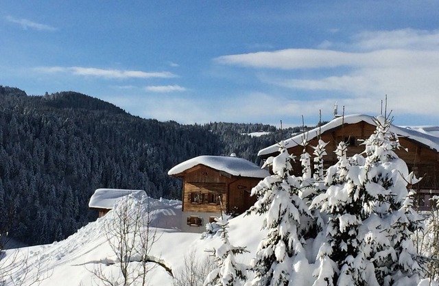 Chalet confortable con sauna, WiFi y aparcamiento privado