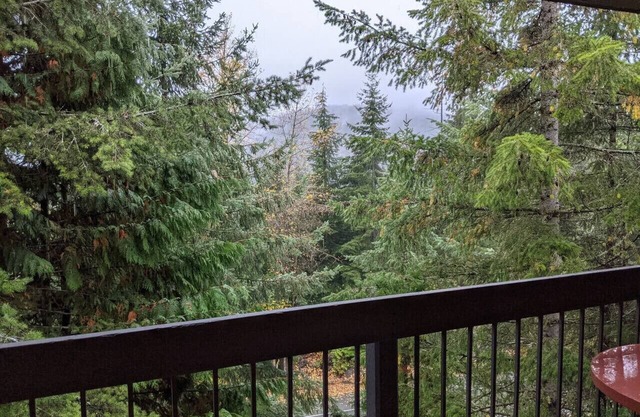 Comfortable Creekside Studio - close to lifts.