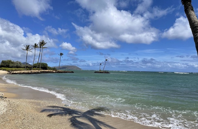 Condo on the Beach (Kahala) 1 bedroom "March & April" ***Special Rates***