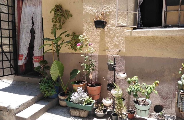 Conociendo México (lindo y querido)