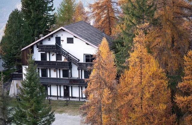 Corner of the Woods - Apartment in Pila