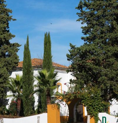 Cortijo Negretti