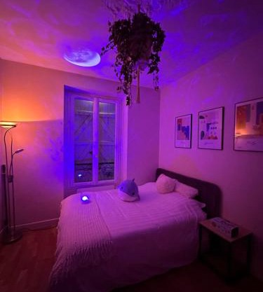 Cosy Appart Hotel Levallois-Perret 92