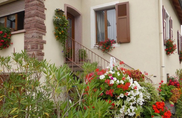 Casa rural en una casa grande en el centro de Colmar con jardín y aparcamiento gratuito.