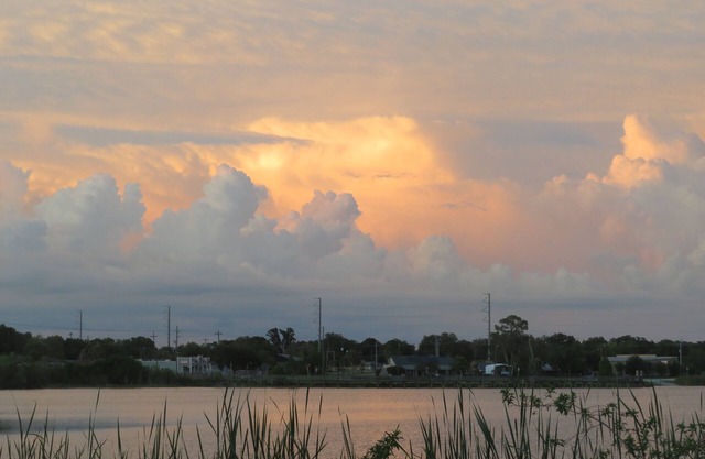 A Cottage on Lake Near Universities and colleges. close to shops and downtown